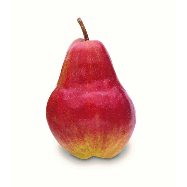 Pear