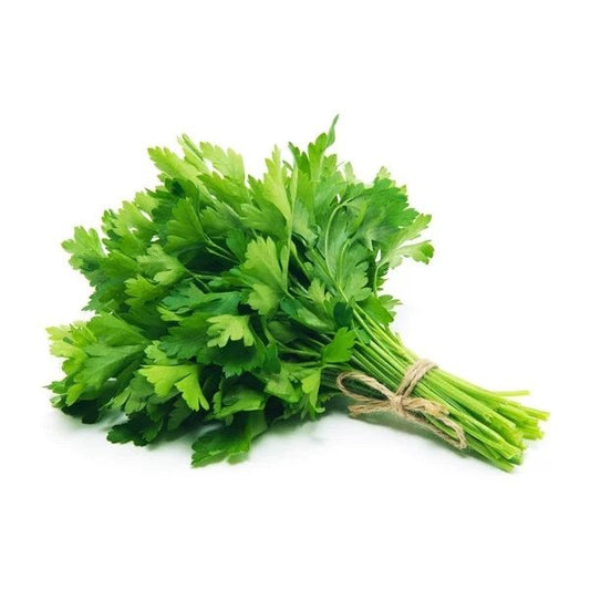 Cilantro - Bunch