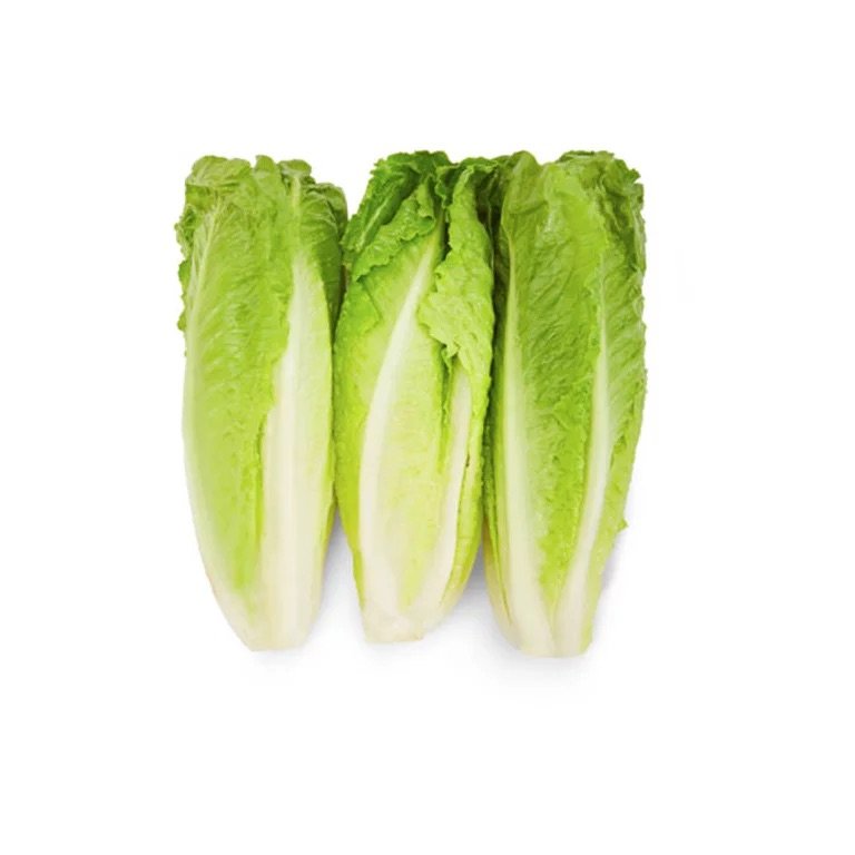 Romaine Lettuce Hearts - 3 Pack