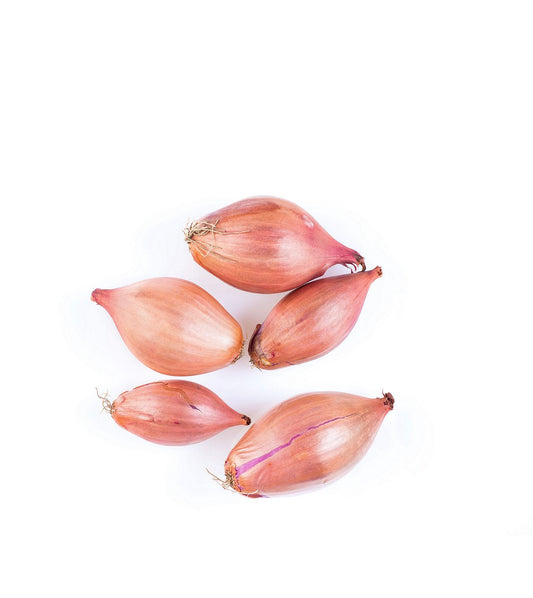 Shallots onion - 6 oz