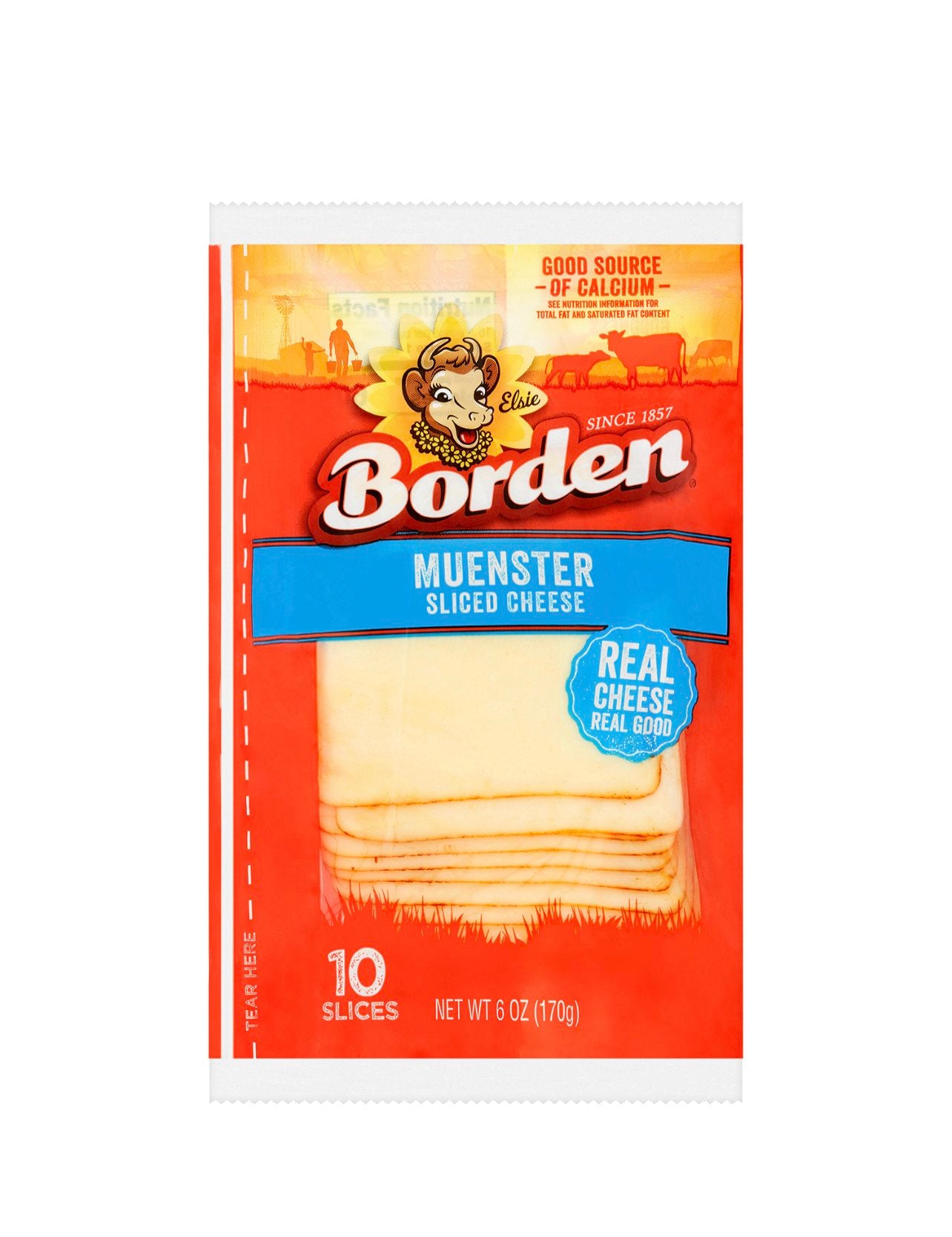 Bordan Sliced Cheese- Choose Flavor